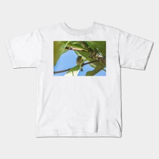 Japanese white-eye in Oahu’s Kids T-Shirt